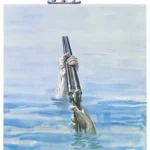 Deliverance (1972)